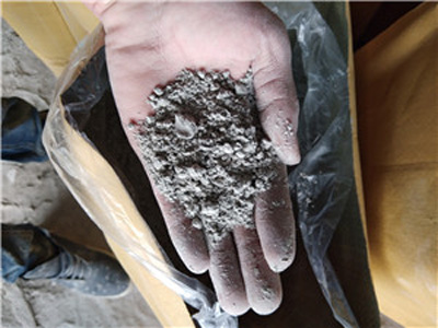 �o�C�������